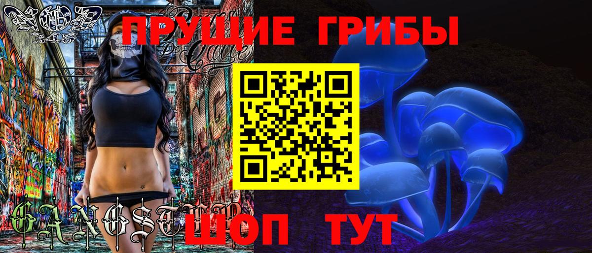Белая Калитва  Псилоцибиновые грибы Cubensis  Вход с VPN 