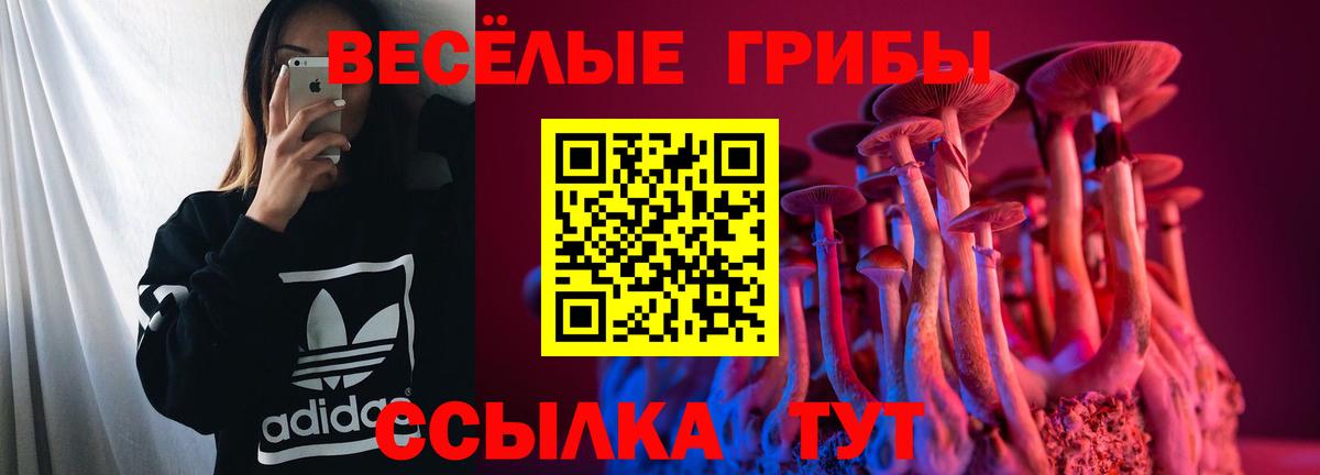 Псилоцибиновые грибы мухоморы Белая Калитва